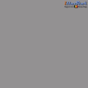 Rouleau de fond Poly-Canvas illuStar 3mx6m (+/- 180g/m²) gris - référence BPC-GR Rouleau de fond Poly-Canvas illuStar 3mx6m (+/- 180g/m²) gris - référence BPC-GR