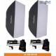 Kit FI-500D illuStar 500 Ws (joule) - contient 2x flash 2x trépieds et 2x boîte à lumière 80x120cm - référence SET-FI-500D